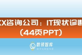 XX咨询公司：IT现状诊断（44页PPT）