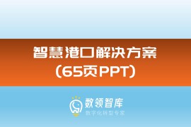 智慧港口解决方案（65页PPT）