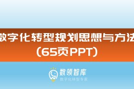 数字化转型规划思想与方法（65页PPT）