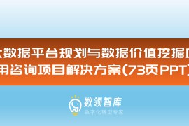 大数据平台规划与数据价值挖掘应用咨询项目解决方案（73页PPT）