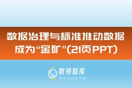 数据治理与标准推动数据成为“金矿”（21页PPT）