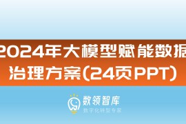 2024年大模型赋能数据治理方案（24页PPT）