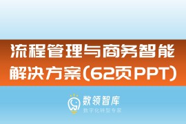 流程管理与商务智能解决方案（62页PPT）