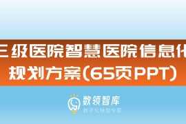 三级医院智慧医院信息化规划方案（65页PPT）