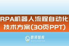 RPA机器人流程自动化技术方案(30页PPT)