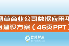 烟草商业公司数据应用平台建设方案（46页PPT）