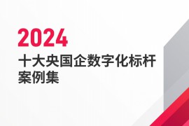 2024十大央国企数字化标杆案例集