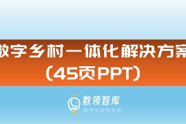 数字乡村一体化解决方案（45页PPT）